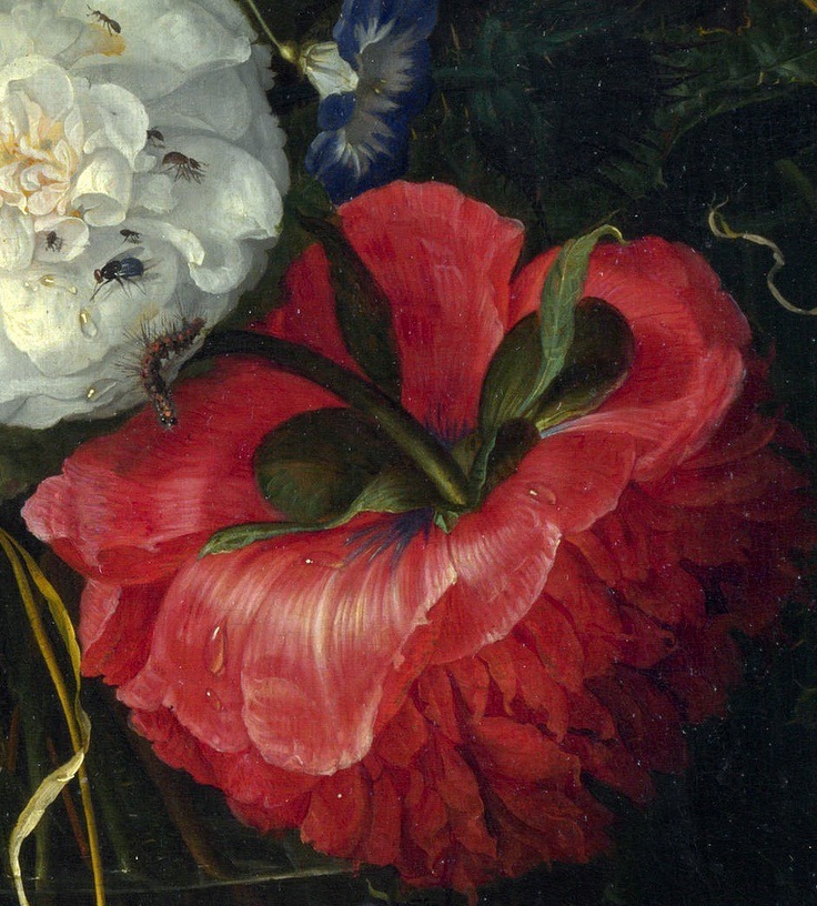 6Jacob van Walscappelle - Flowers in a Glass Vase