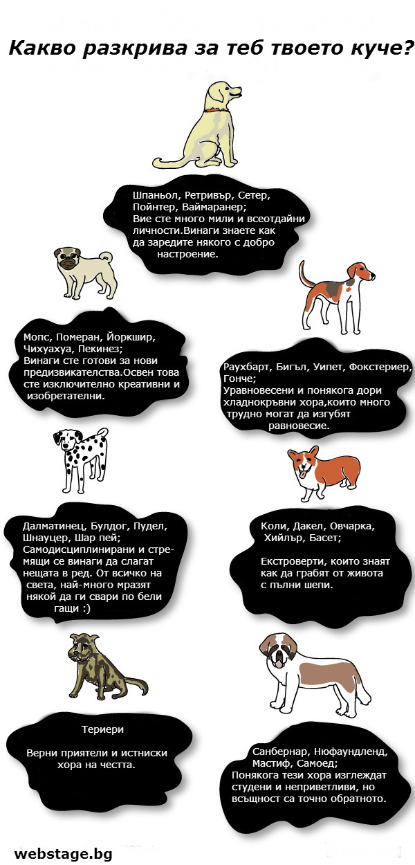 what-your-dog-says-about-you123