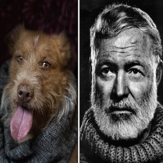 Портрети на кучетата като писатели
