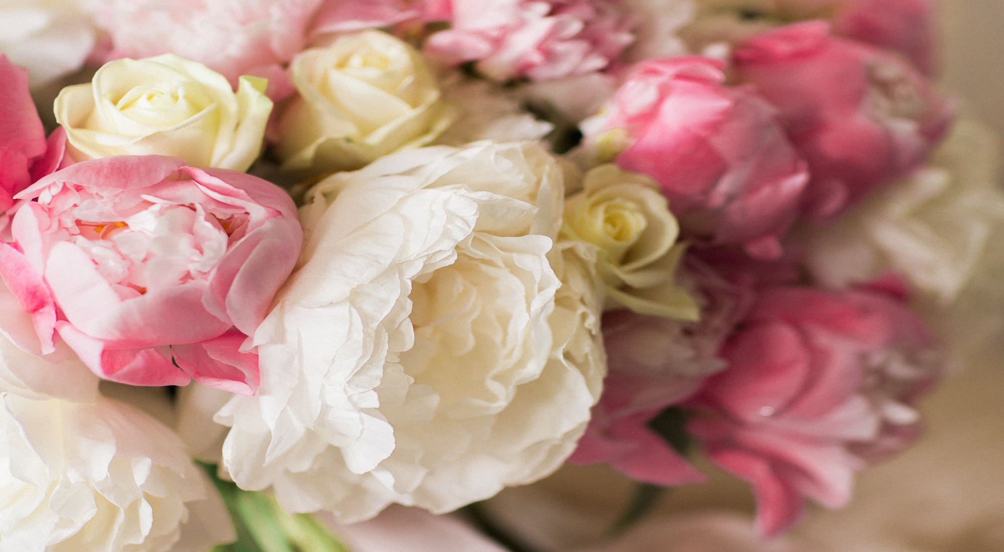 Just Flowers... webstage.bg