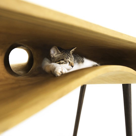 Котки под масата ~ CATable