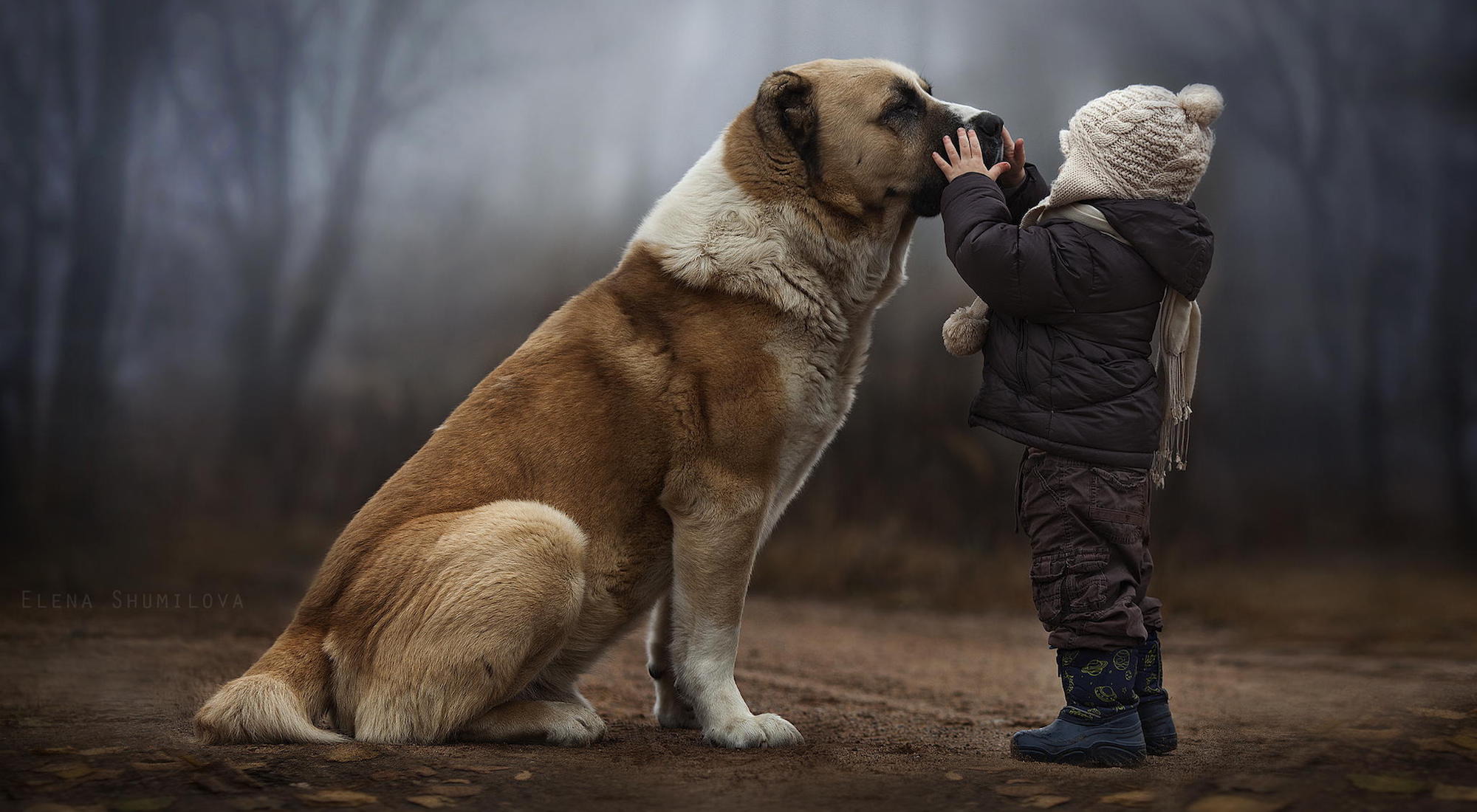 Трогателната връзка между децата и техните домашни любимци през погледа на Елена Шумилова