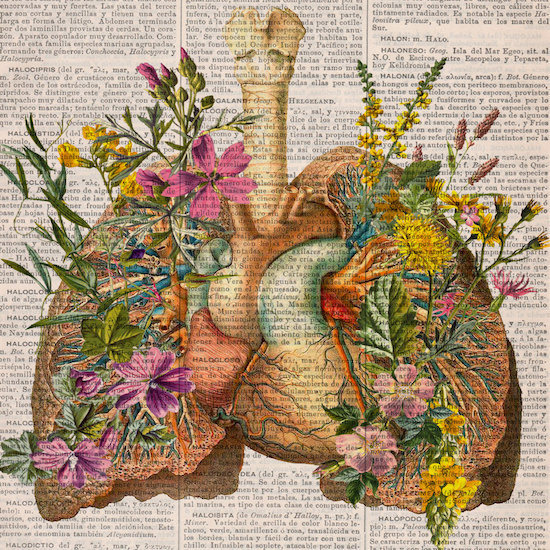 Флорална анатомия