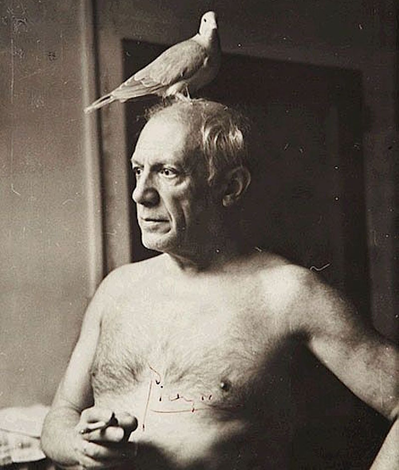  picasso 1 