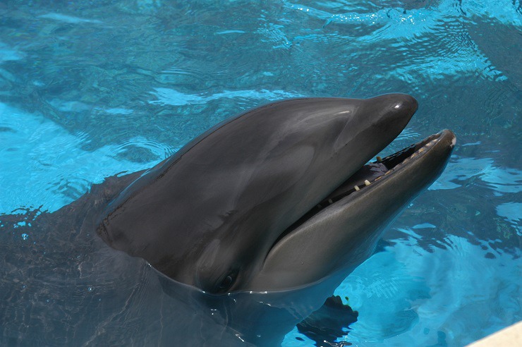  5371362572 b81da5d6af o 