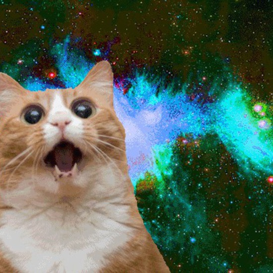 25 доказателства, че котките са извънземни 