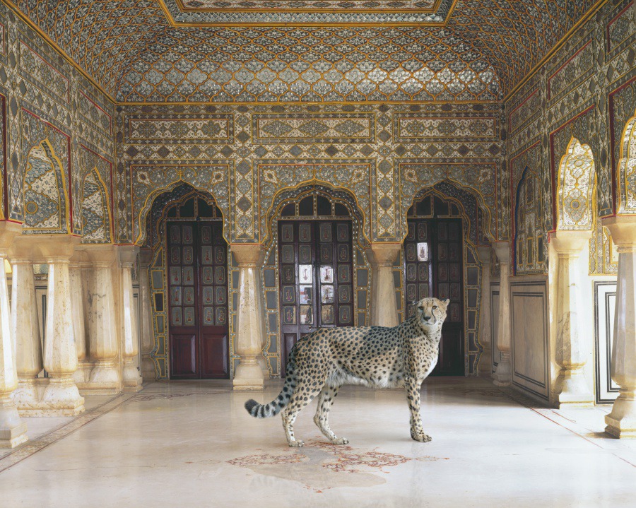 15The Return of the Hunter Jaipur Palace Jaipur