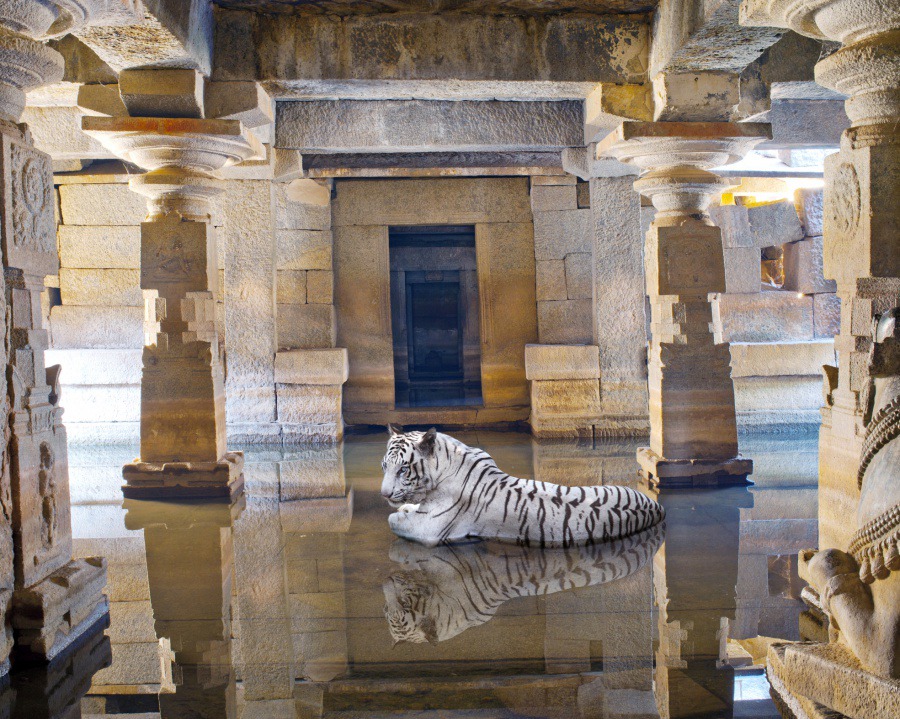  18Bhakti Path of Sants Shiva Temple Hampi 