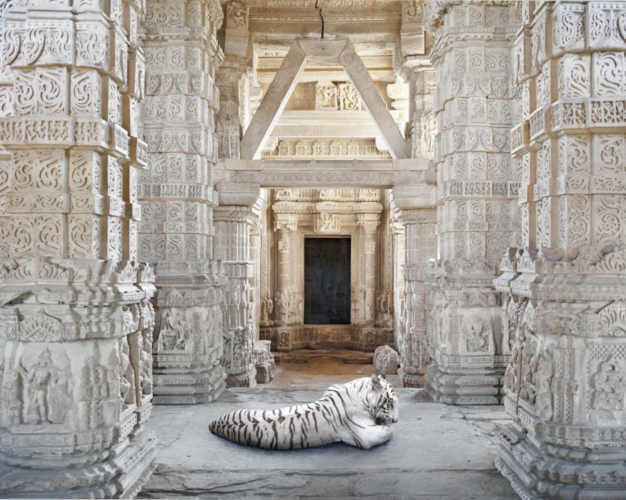 20Becoming Arihanta Sahastrabahu Temple Gwalior
