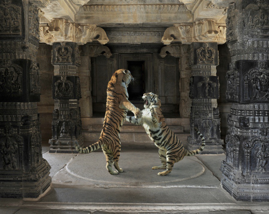  21The Palaiyakkarars Hazarama Temple Hampi 