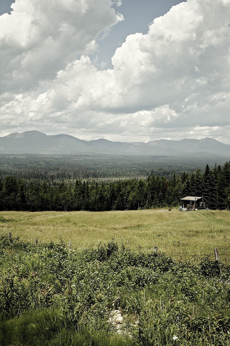  tumblr m2jwfxIJnm1qzwmsso1 1280 