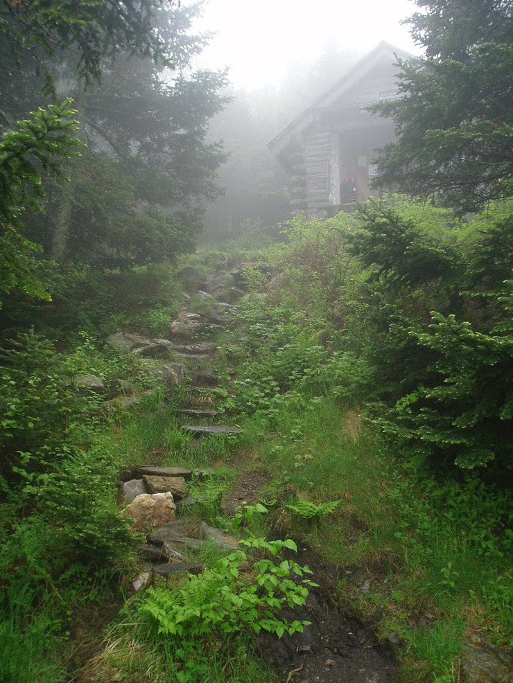  tumblr mj9aqyLbqe1qzwmsso1 1280 