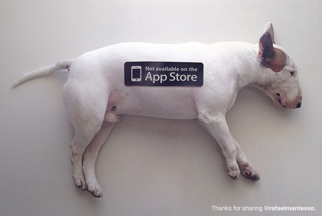  5240755-R3L8T8D-650-tumblr n4u5580yLe1tycj7ao1 1280 