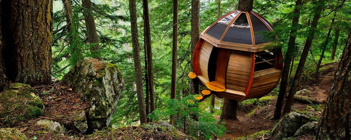  Vancouer-island-treehouse 