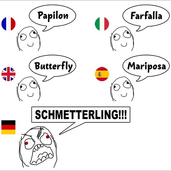 10 забавни мемета, които разкриват уникалността на немския език
