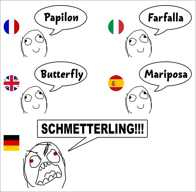 10 забавни мемета, които разкриват уникалността на немския език
