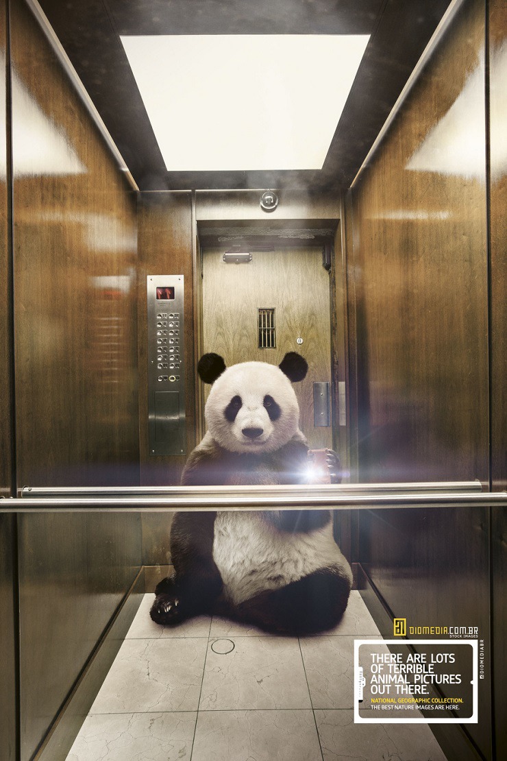Животни в selfies изображения за National Geographic Ad