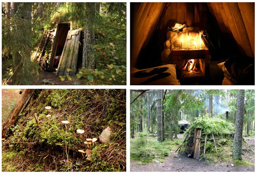Swedish Cabin