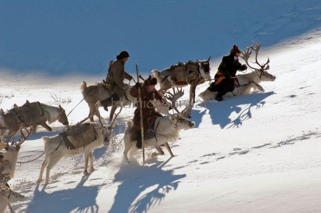  640x425xreindeerriders10.jpg.pagespeed.ic.mMOCPOMx663wFl4Gtz3T 