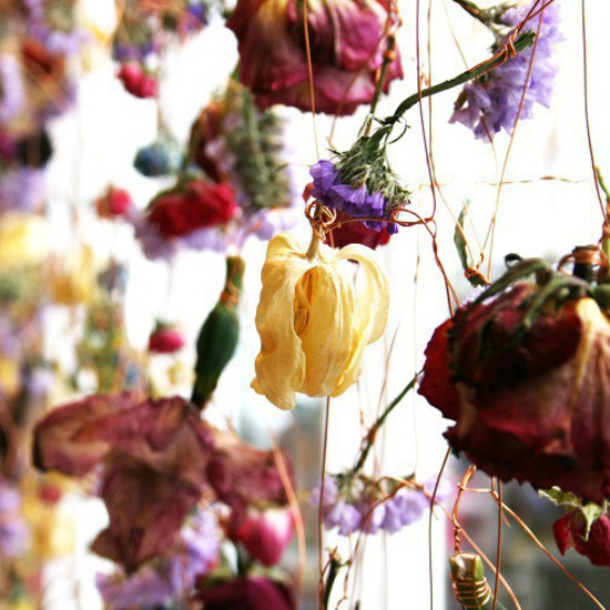 Изкуството на цветята | Ребека Луис Лоу