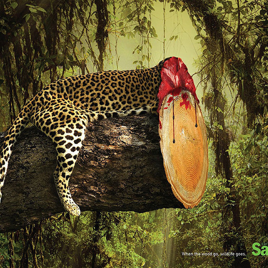 Шокиращи социални реклами против обезлесяването на планетата 