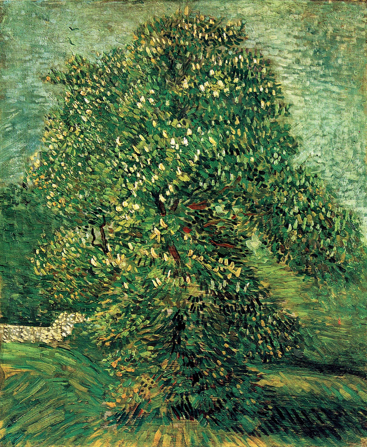 4Chestnut Tree in Blossom Vincent van Gogh 1887