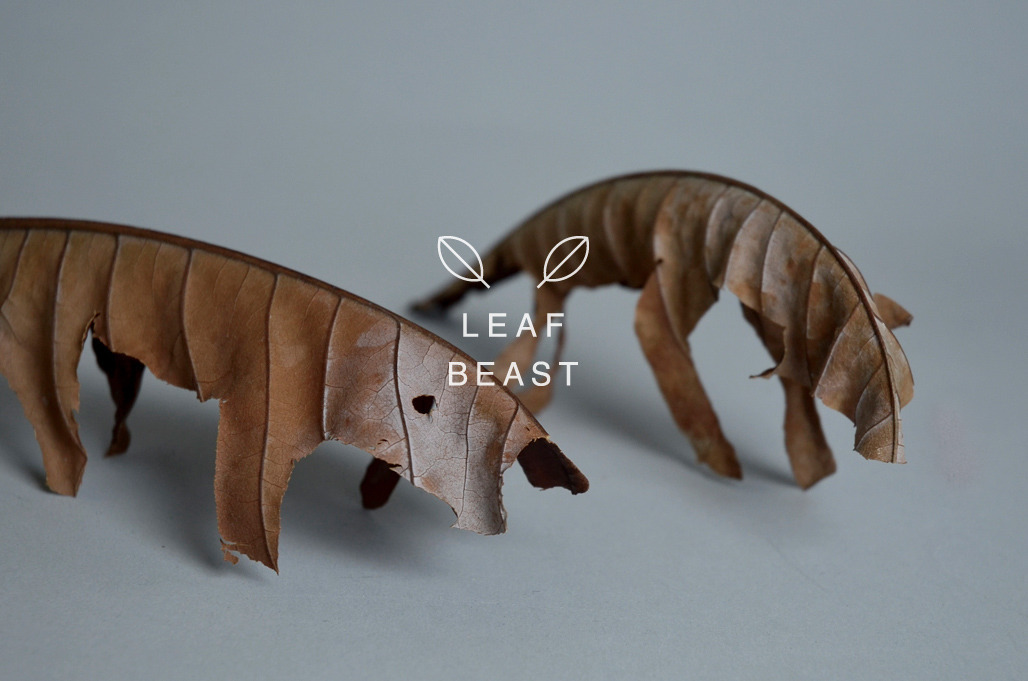  leaf-1 