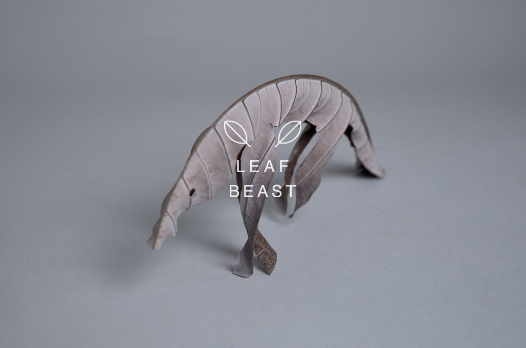  leaf-3 