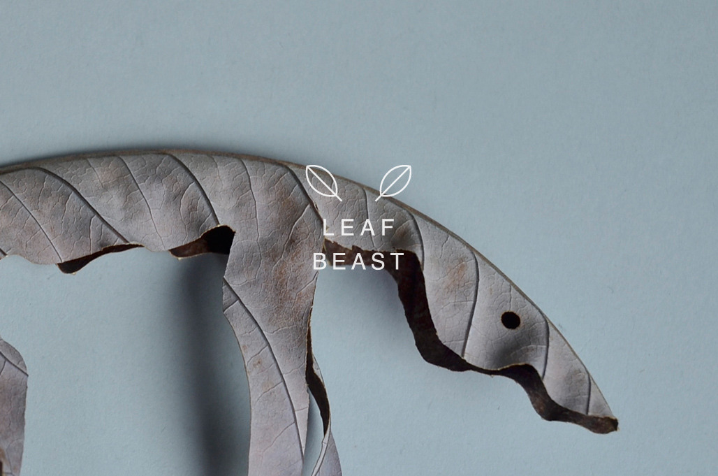 leaf-4