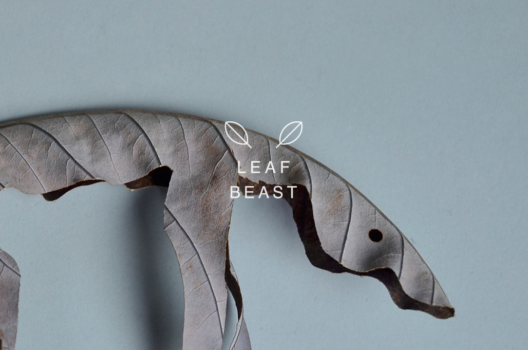  leaf-4 