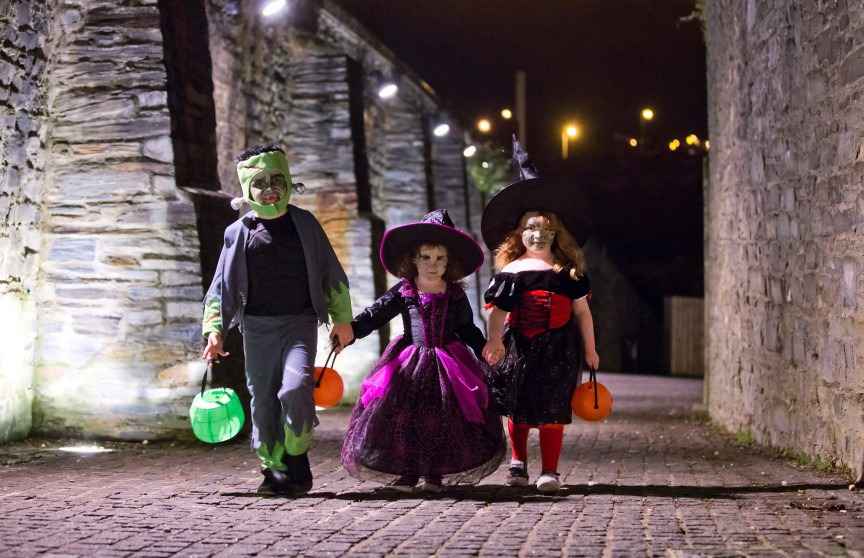  terraoko-2014102204-5 