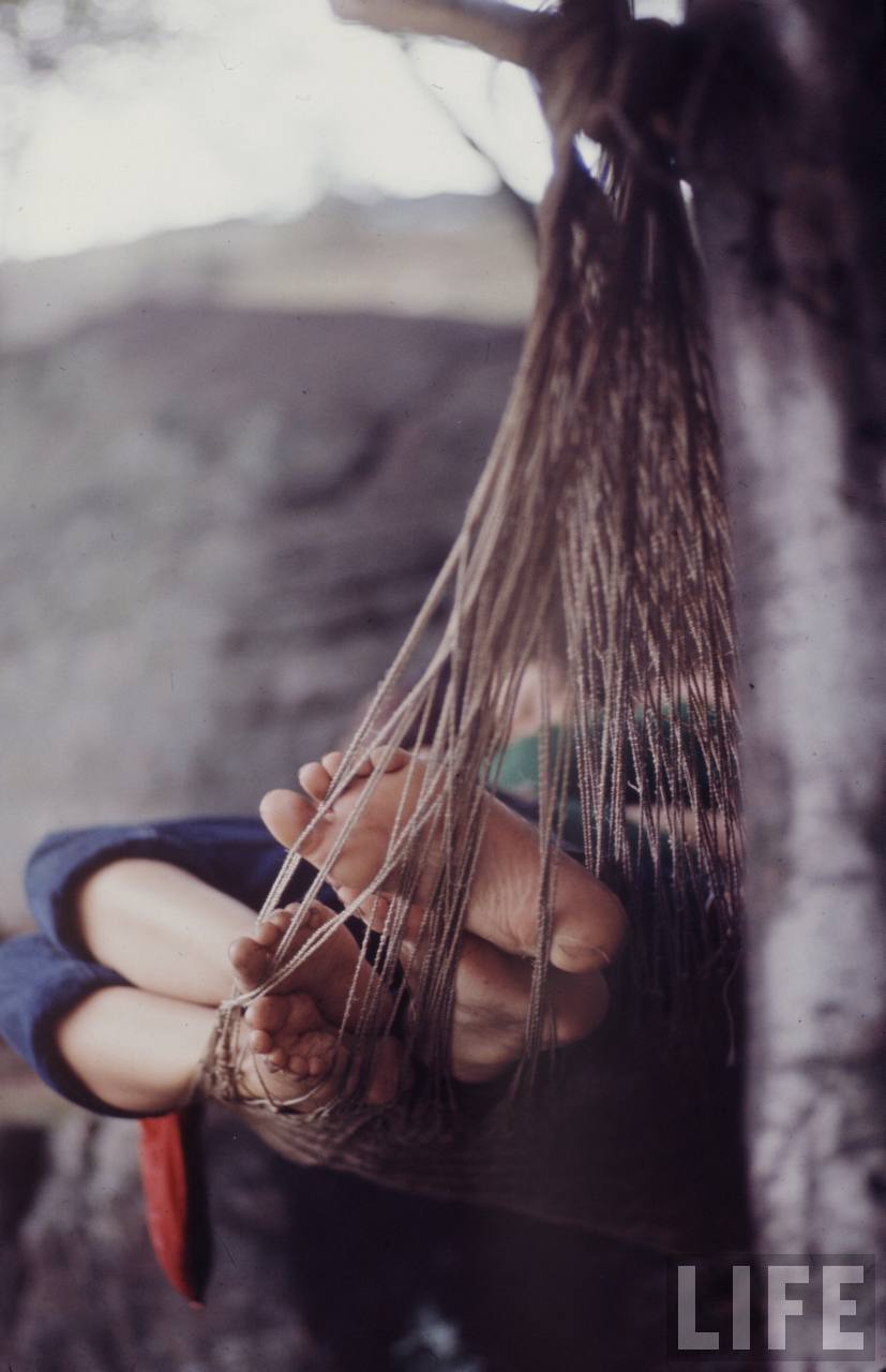  827x1280xwoodstock12.jpeg.pagespeed.ic.ZNZ8KgEIO8 