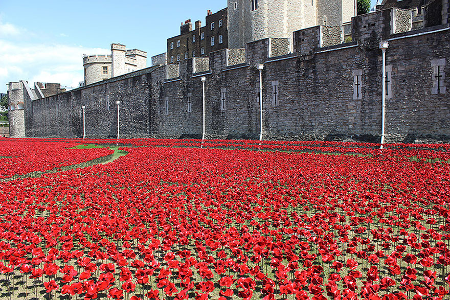 ceramic-poppies-first-world-war-installation-london-tower-2