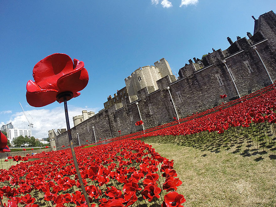 ceramic-poppies-first-world-war-installation-london-tower-3