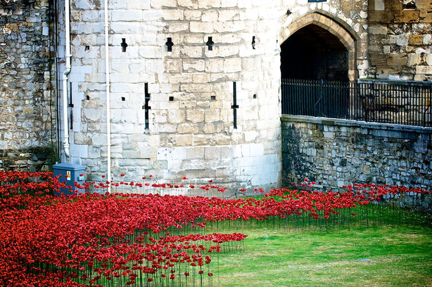 ceramic-poppies-first-world-war-installation-london-tower-6