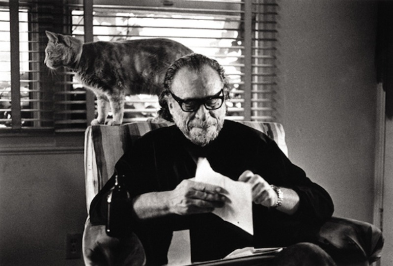 Escritores-y-sus-gatos-Charles-Bukowski