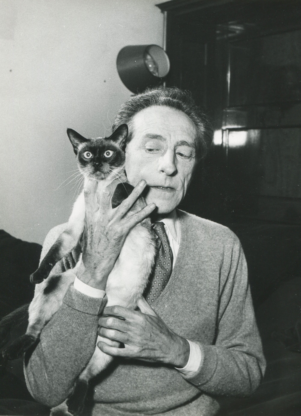 Escritores-y-sus-gatos-Jean-Cocteau