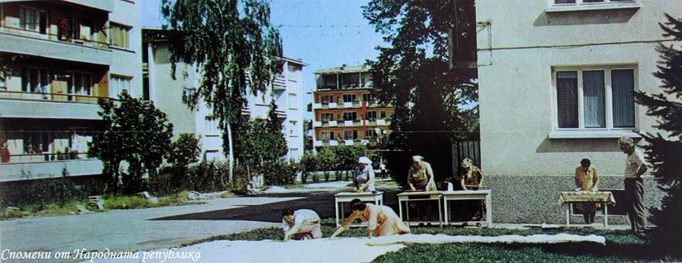  1209033 590367127694451 659669843 n 