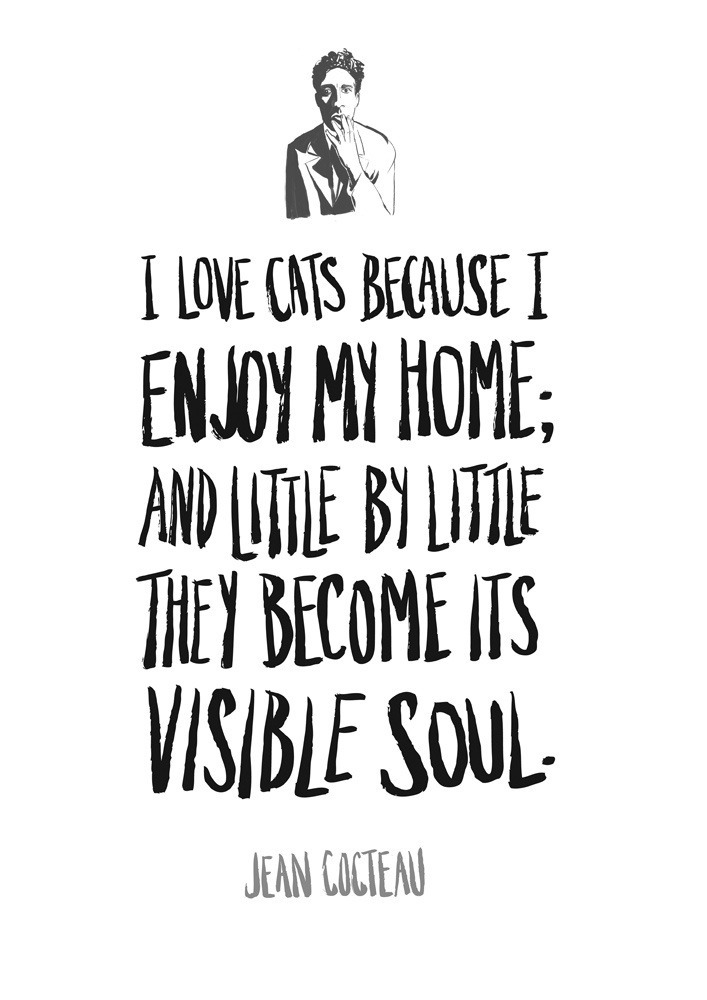  5afa13e3b09a307d-catbook cocteau quote 