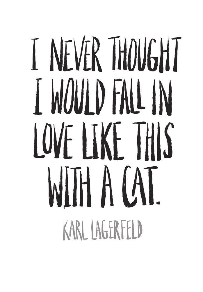  c4d51b3c8d03cd10-kalda lagerfeld quote 