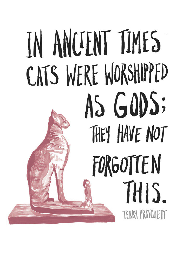  2b05c073505e31b2-kalda pratchett quote web 