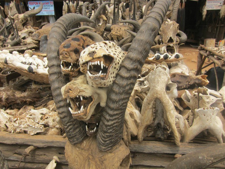  toge-voodoo07-1024x768 