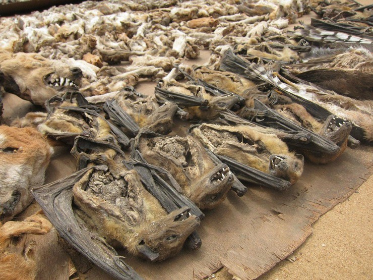  toge-voodoo10-1024x768 