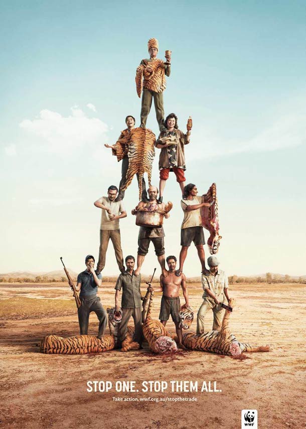  WWF-stop-one-stop-them-all-3 