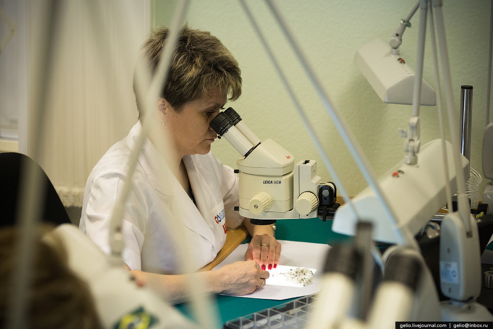  0 7e7de beecf132 orig 