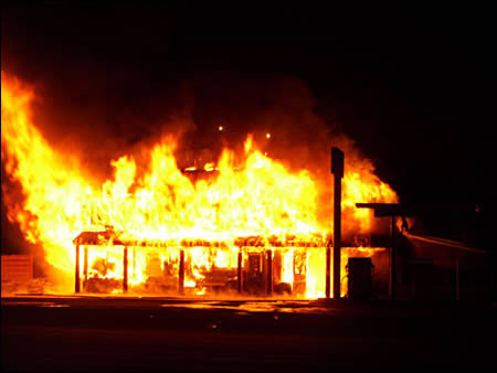  a96875 a541 4-fire-bird 