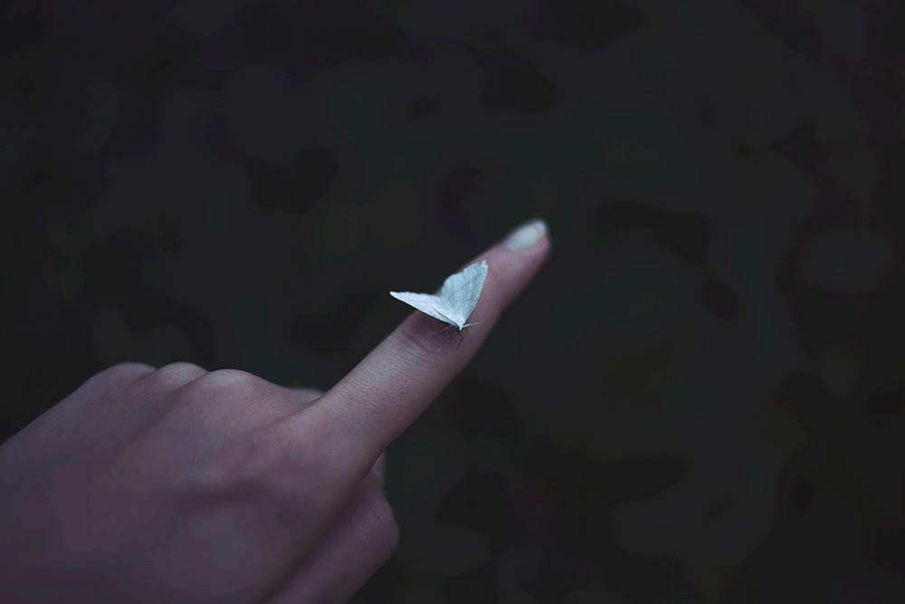  untitled by kittysyellowjacket-d6aa0gs 