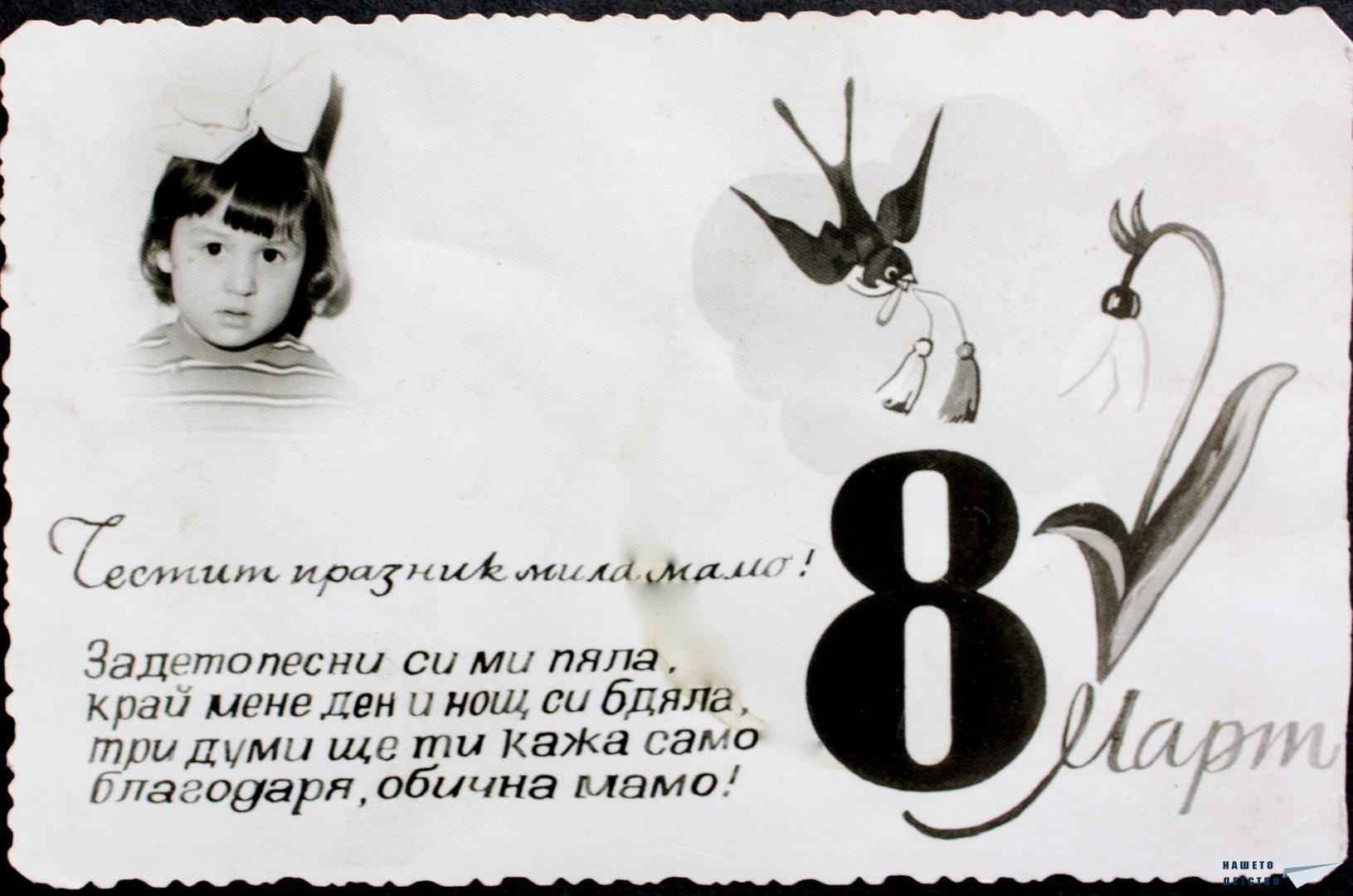  1268230431 margarita8mart 