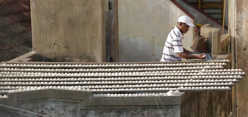  birdman ot lyubov kam papagalite 3 