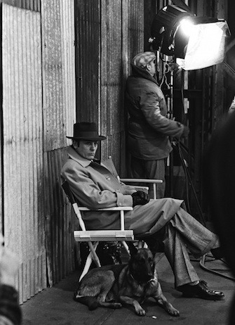  Аlain Delon 17 
